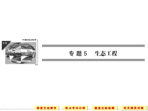 人教版高中生物选修三5.1《生态工程的基本原理》ppt课件