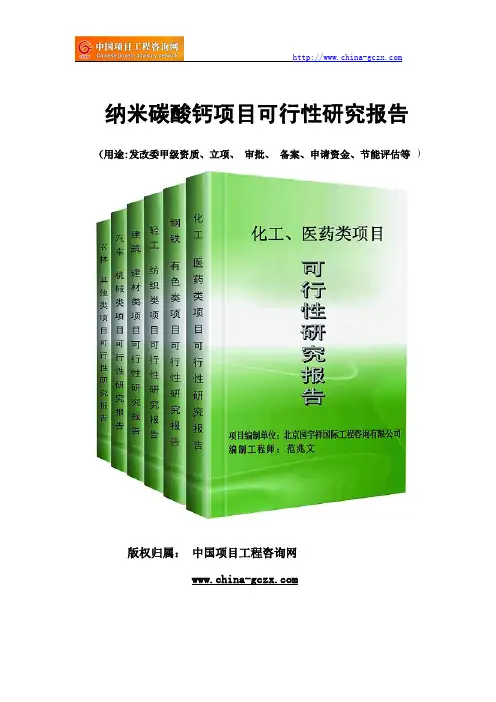 纳米碳酸钙项目可行性研究报告范文格式(专业经典案例)