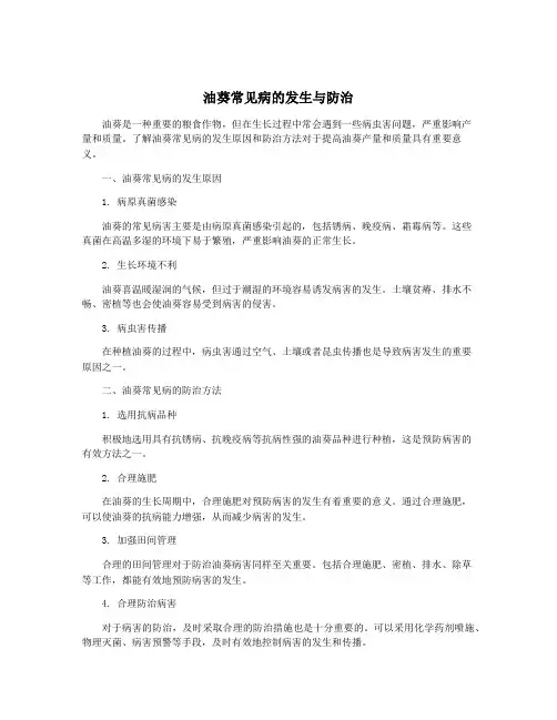 油葵常见病的发生与防治