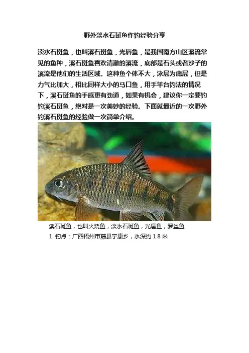 野外淡水石斑鱼作钓经验分享
