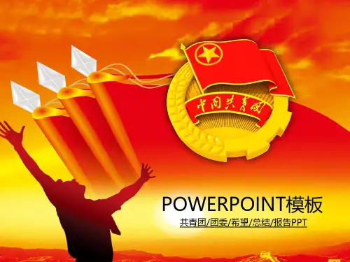共青团报告总结-PPT模板