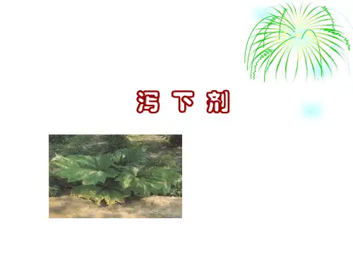 中医《方剂学》PPT课件-泻下剂