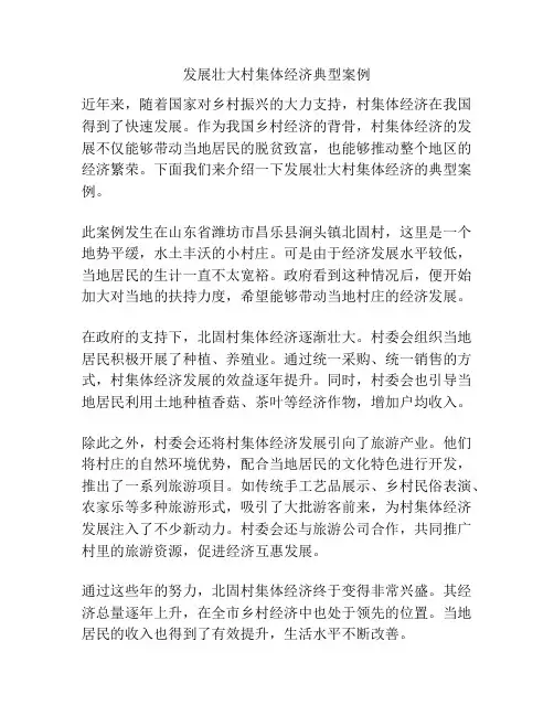 发展壮大村集体经济典型案例