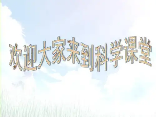 四年级下册科学认识几种常见的岩石教科版 (8)