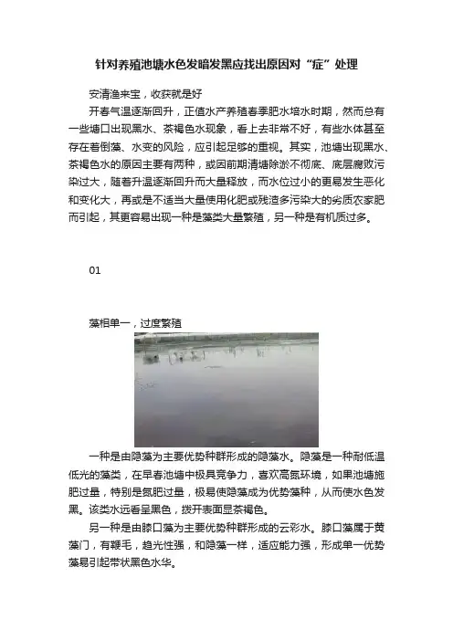 针对养殖池塘水色发暗发黑应找出原因对“症”处理