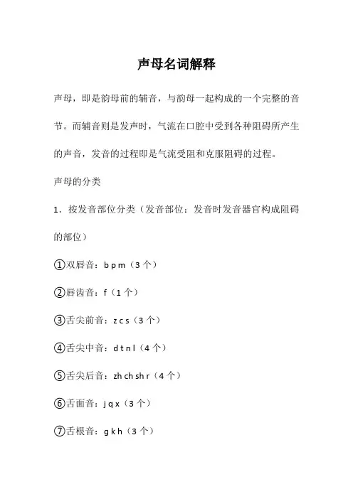 声母名词解释