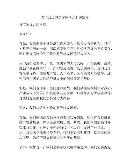 在全县经济工作座谈会上的发言