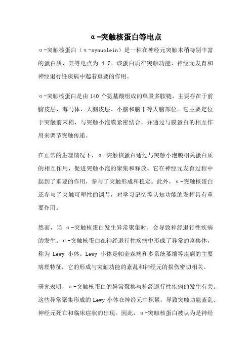 α-突触核蛋白等电点