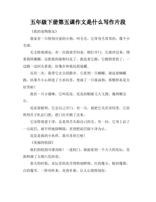 五年级下册第五课作文是什么写作片段