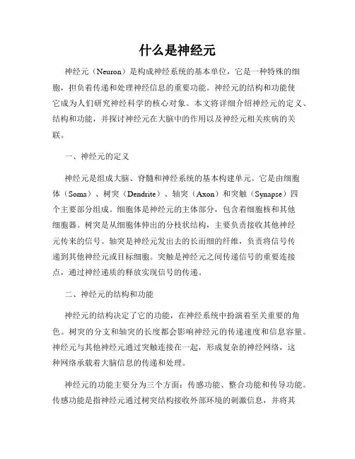 什么是神经元