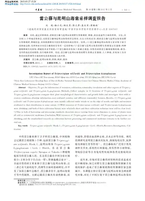 雷公藤与昆明山海棠采样调查报告