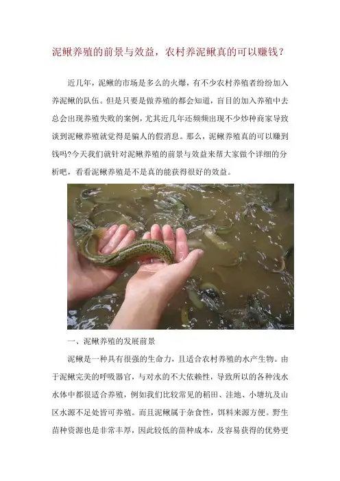 泥鳅养殖的前景与效益,农村养泥鳅真的可以赚钱？
