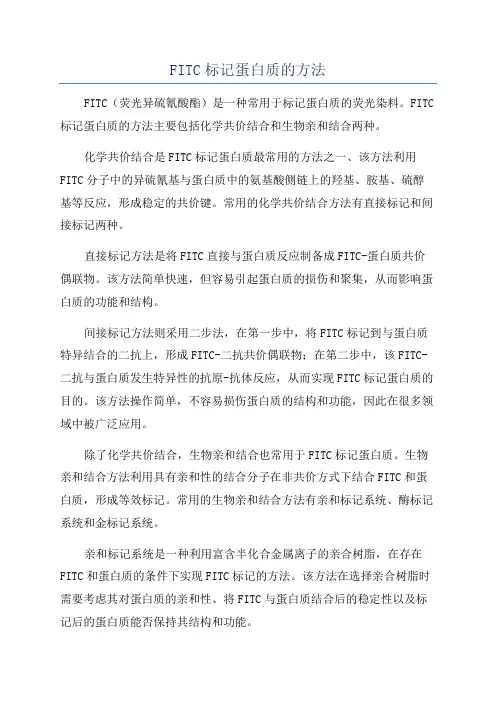 FITC标记蛋白质的方法