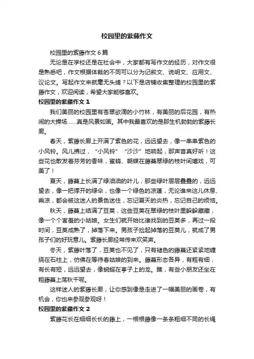 校园里的紫藤作文