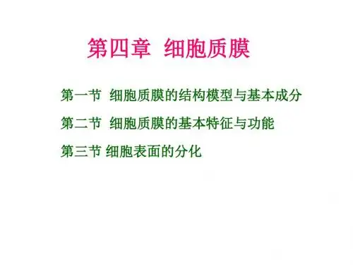 第四章  细胞质膜
