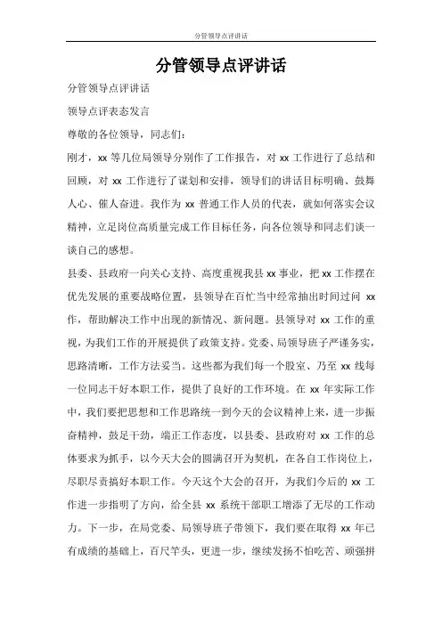 工作报告 分管领导点评讲话