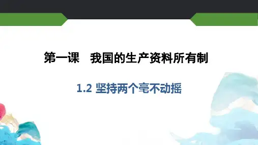坚持“两个毫不动摇” 课件-高中政治统编版必修二经济与社会