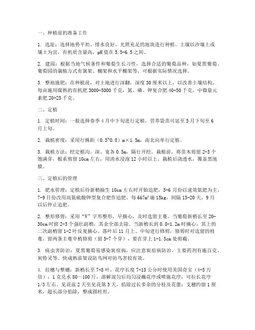 夏黑葡萄周年种植管理技术