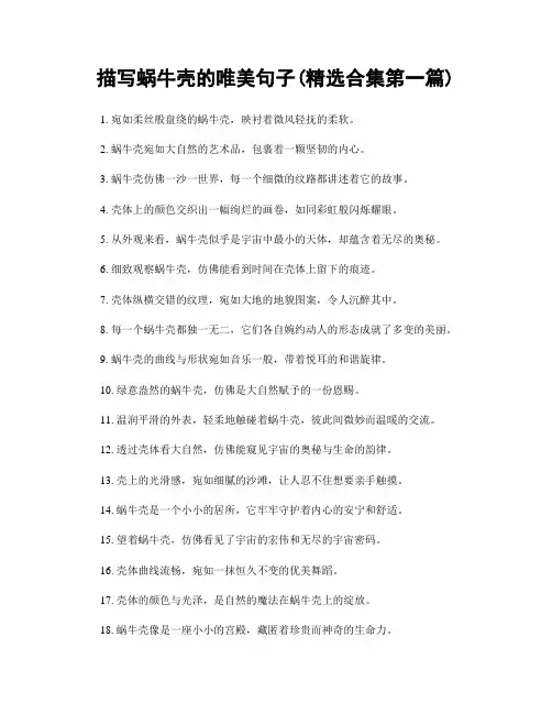 描写蜗牛壳的唯美句子(精选合集两篇)
