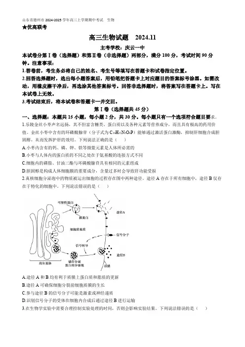 山东省德州市2024-2025学年高三上学期期中考试生物试题含答案
