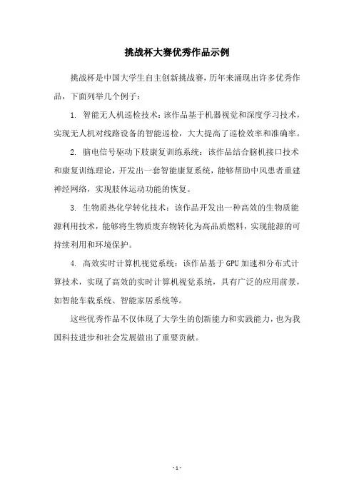 挑战杯大赛优秀作品示例