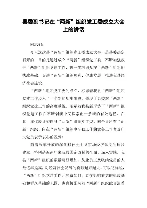 县委副书记在“两新”组织党工委成立大会上的讲话