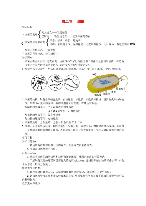 八年级生物上册第五单元第四章第二节细菌教案(新版)新人教版