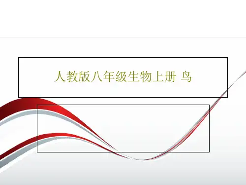 人教版八年级生物上册 鸟PPT文档28页