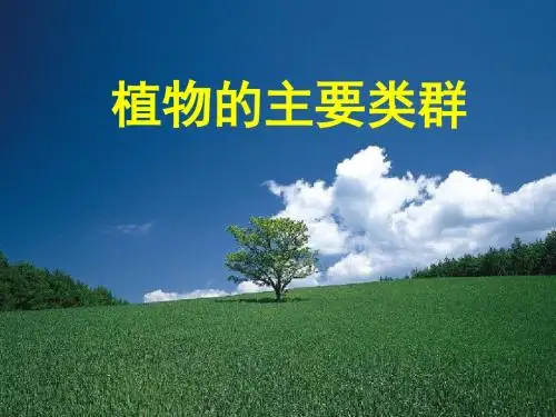植物的主要类群