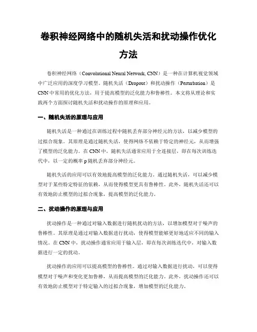 卷积神经网络中的随机失活和扰动操作优化方法