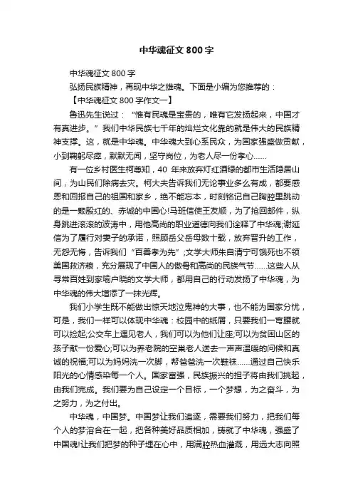 中华魂征文800字