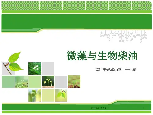 人教部编版七年级初一生物上册 微藻与生物柴油课件 名师教学PPT课件