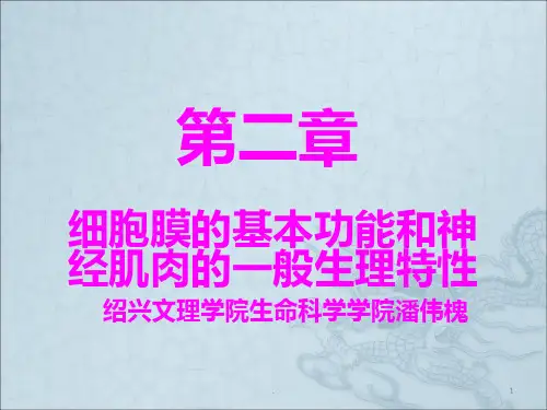 神经肌肉一般生理ppt课件