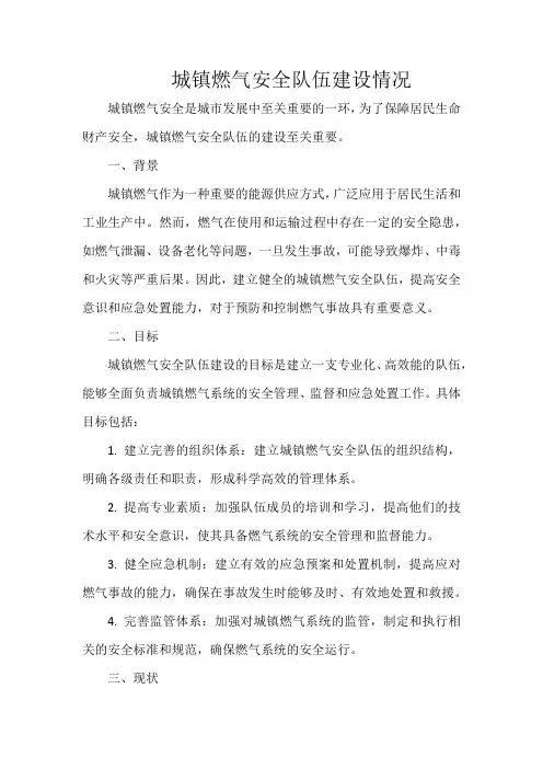 城镇燃气安全队伍建设情况