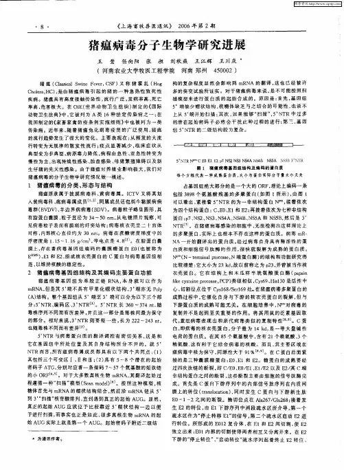 猪瘟病毒分子生物学研究进展