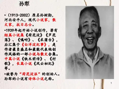 九年级语文上册 第六单元《山地回忆》课件2 北师大版.pptx