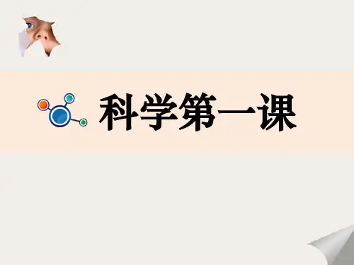 最新教科版小学科学一年级上册优秀课件全册
