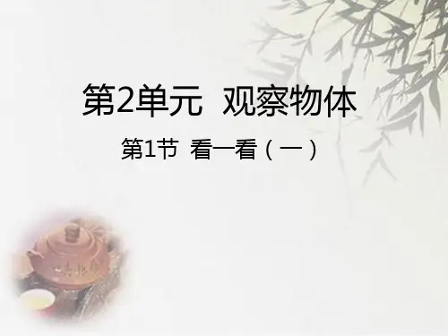 (赛课课件)北师大版三年级上册数学看一看(一) (共20张PPT)