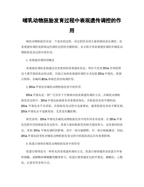 哺乳动物胚胎发育过程中表观遗传调控的作用