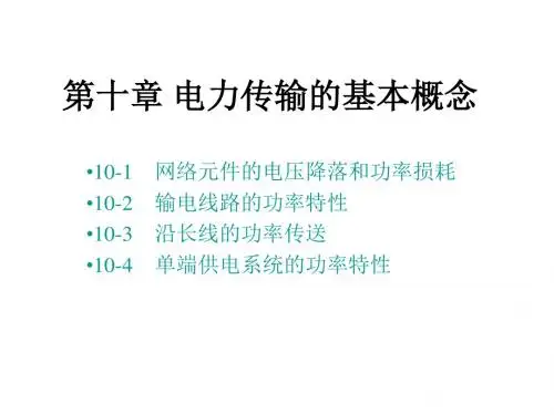 10第十章电力传输的基本概念(精)