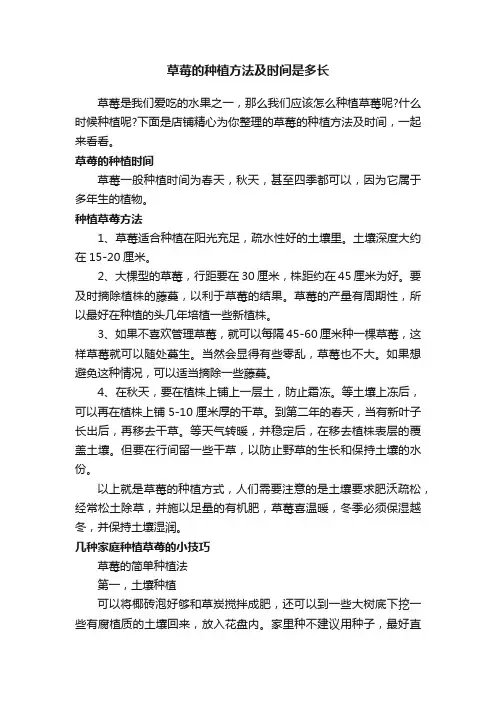 草莓的种植方法及时间是多长