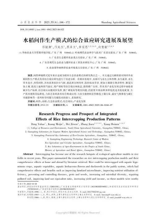 水稻间作生产模式的综合效应研究进展及展望