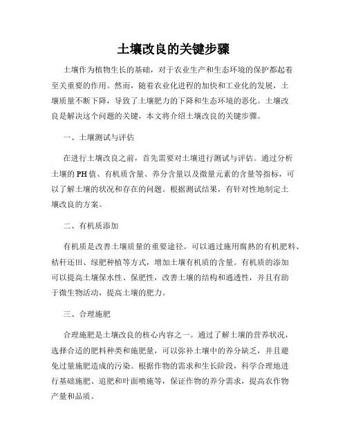土壤改良的关键步骤