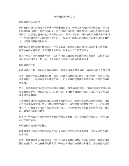 蜘蛛捕猎知识点总结