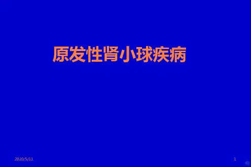 原发性肾小球肾炎PPT课件
