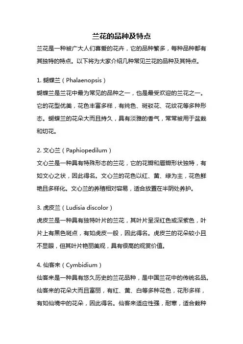 兰花的品种及特点