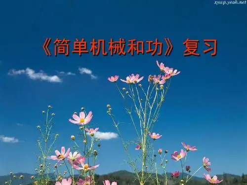 《简单机械和功》复习课666ppt