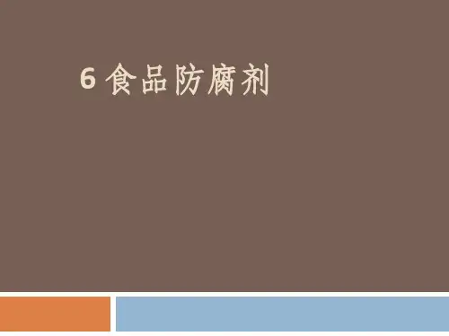 6 食品防腐剂