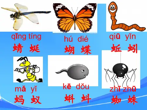 《5.动物儿歌》(公开课课件)