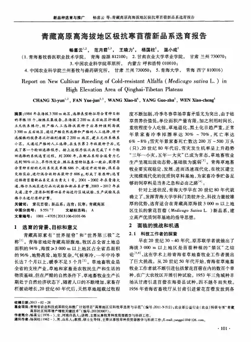 青藏高原高海拔地区极抗寒苜蓿新品系选育报告